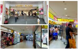 Lucky Plaza (D9), Shop House #458000661